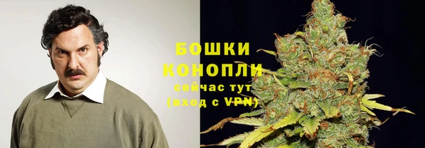 гашиш Богданович