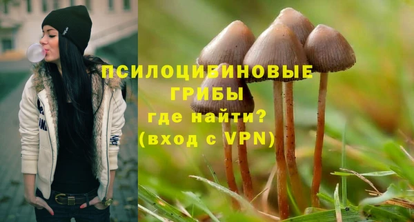 соль курить ск Богородицк