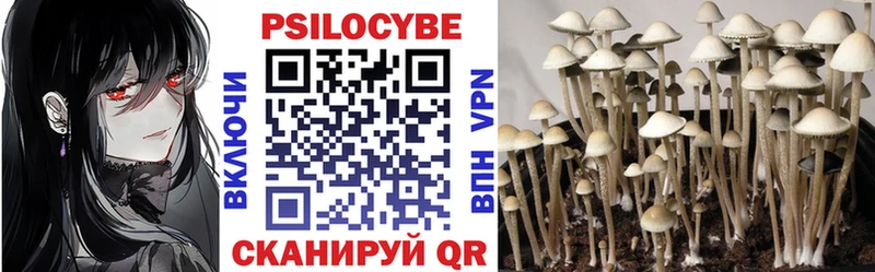 где найти наркотики  Беломорск  Галлюциногенные грибы Cubensis 